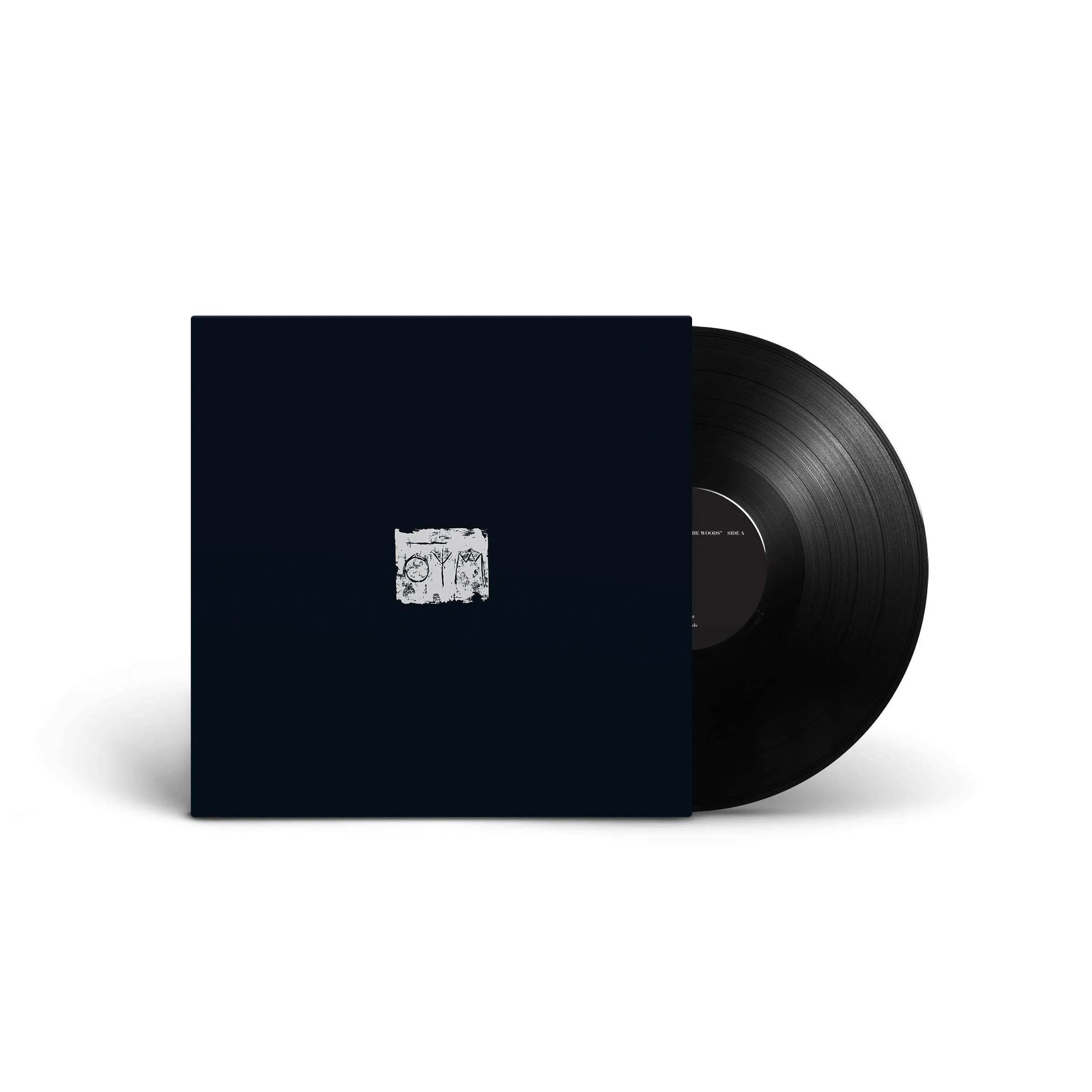 A Swarm Of The Sun "The Woods (gatefold)" 12"