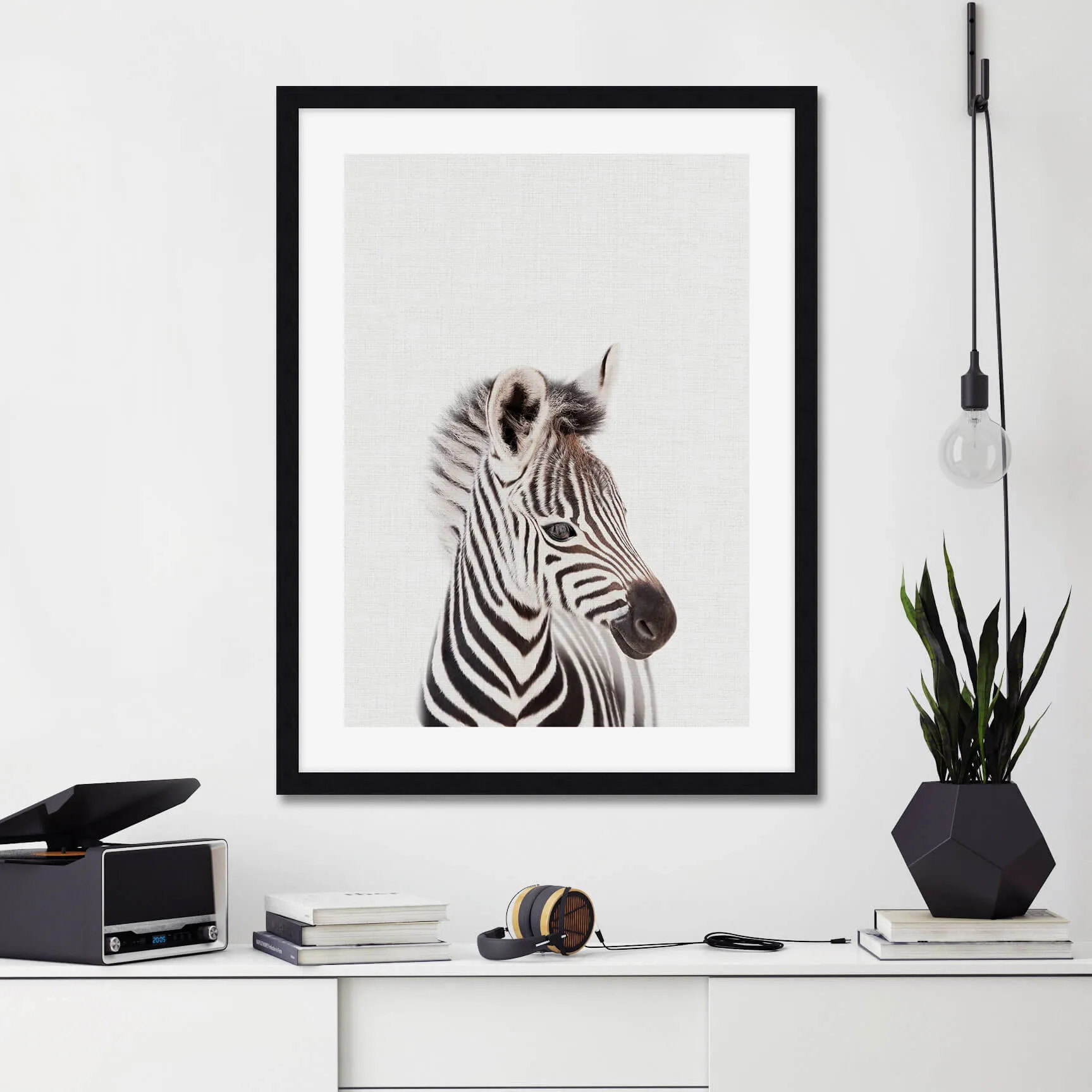 Baby Zebra Peekaboo