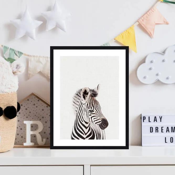 Baby Zebra Peekaboo