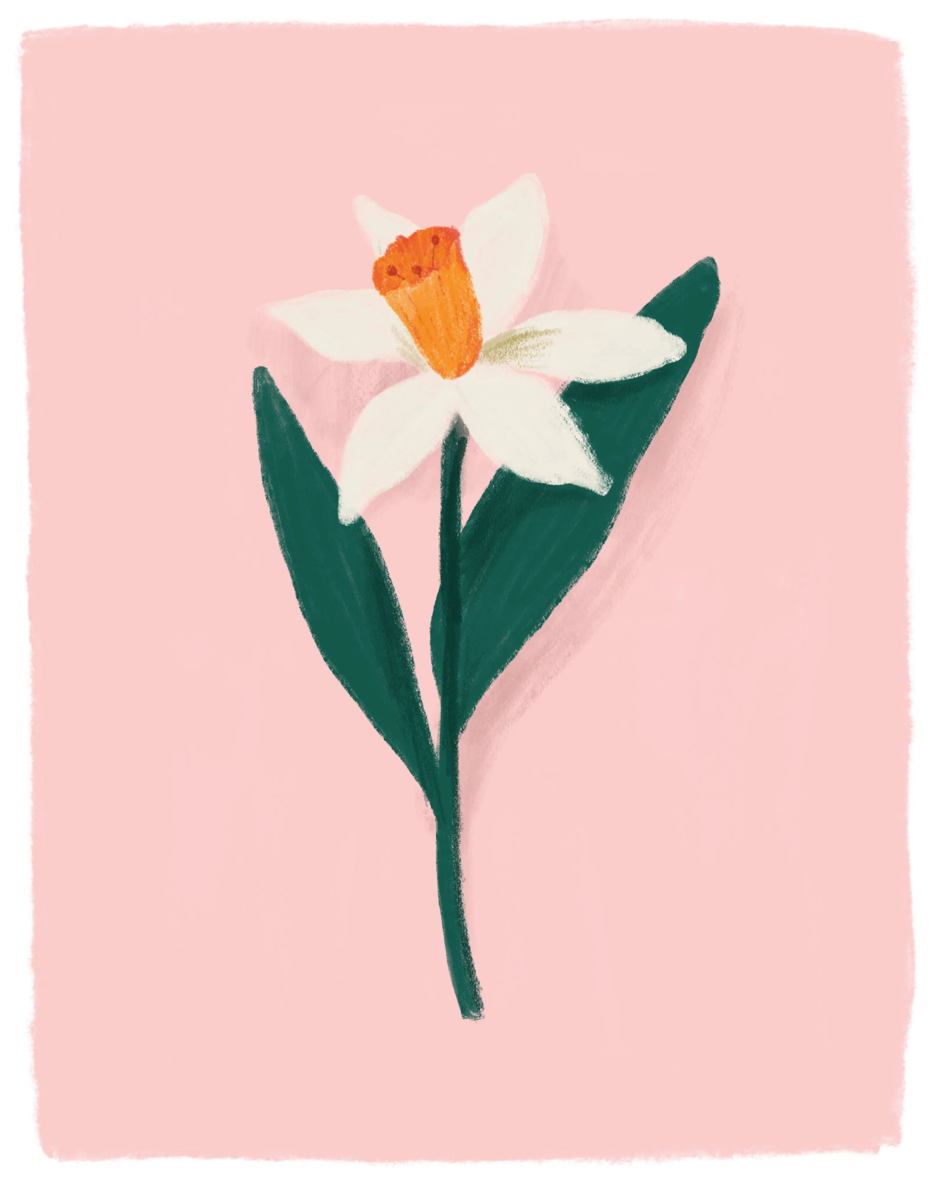 Daffodil Art Print