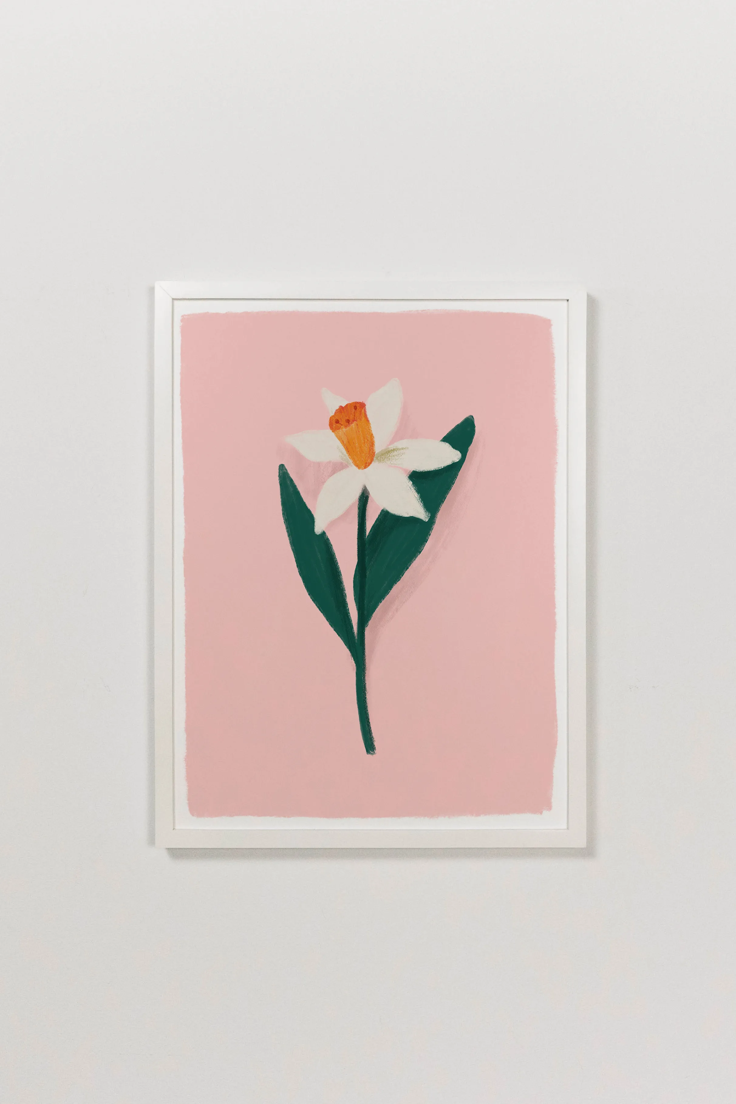 Daffodil Art Print
