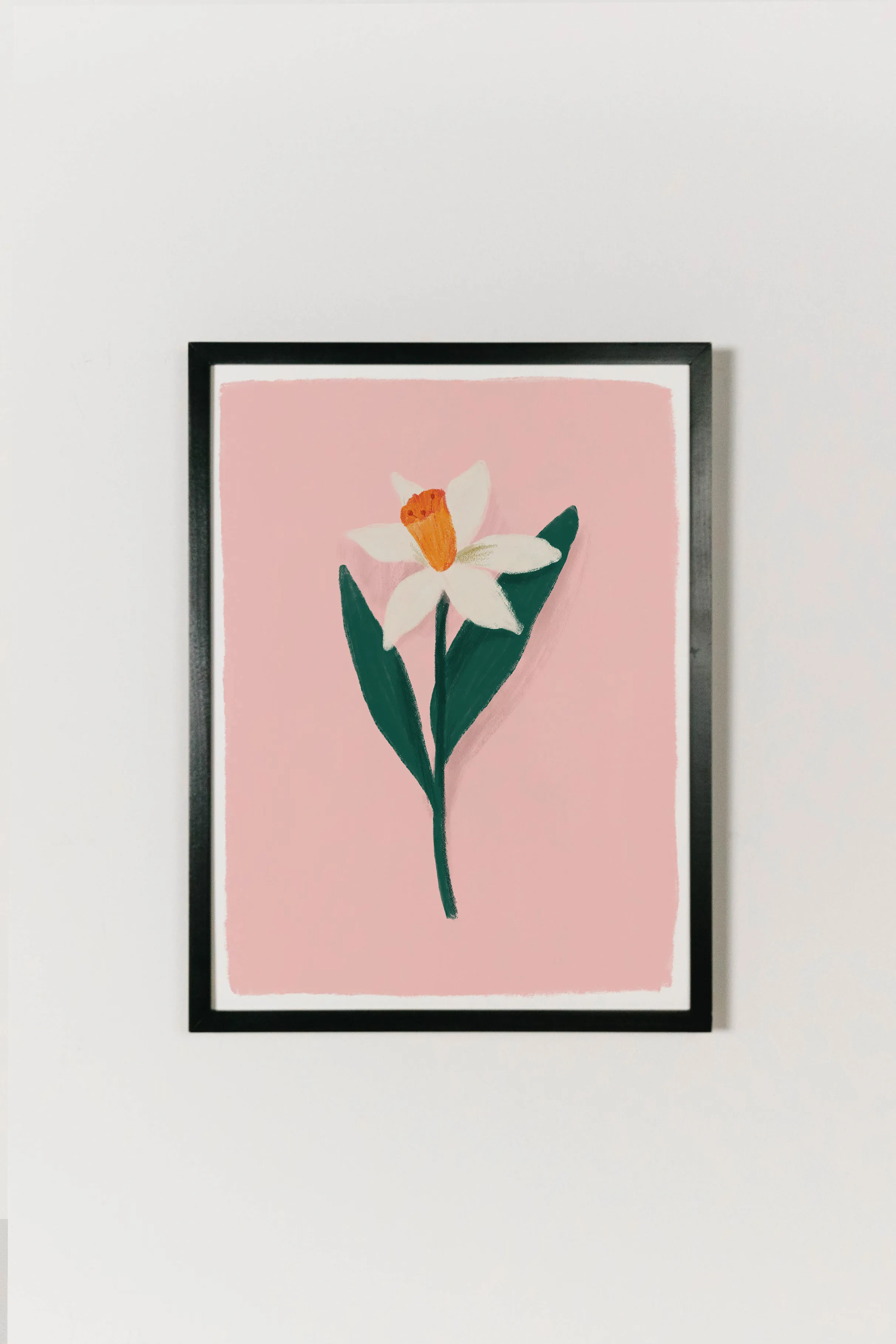 Daffodil Art Print