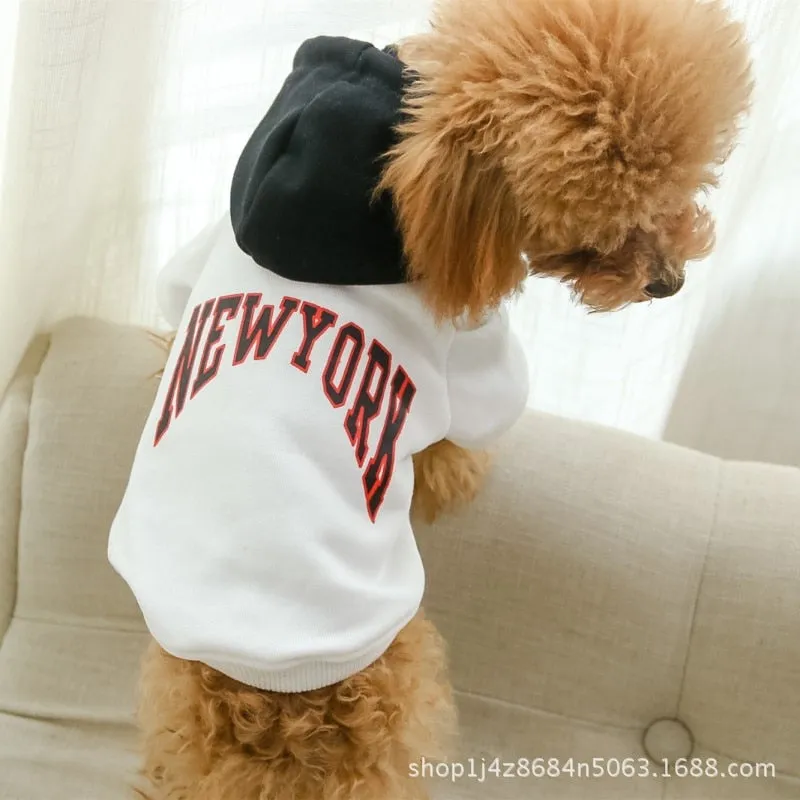 Dog and Owner Sporty Hoodie for Spring and Autumn