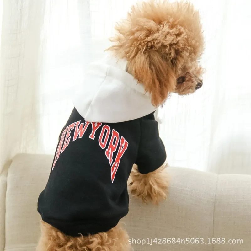 Dog and Owner Sporty Hoodie for Spring and Autumn