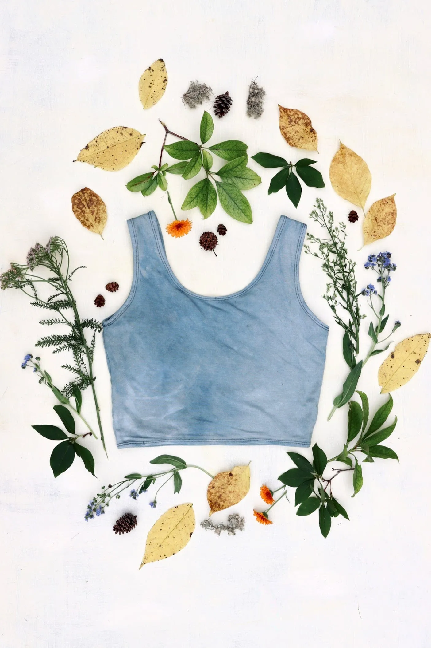 Eternal Indigo Bra Top