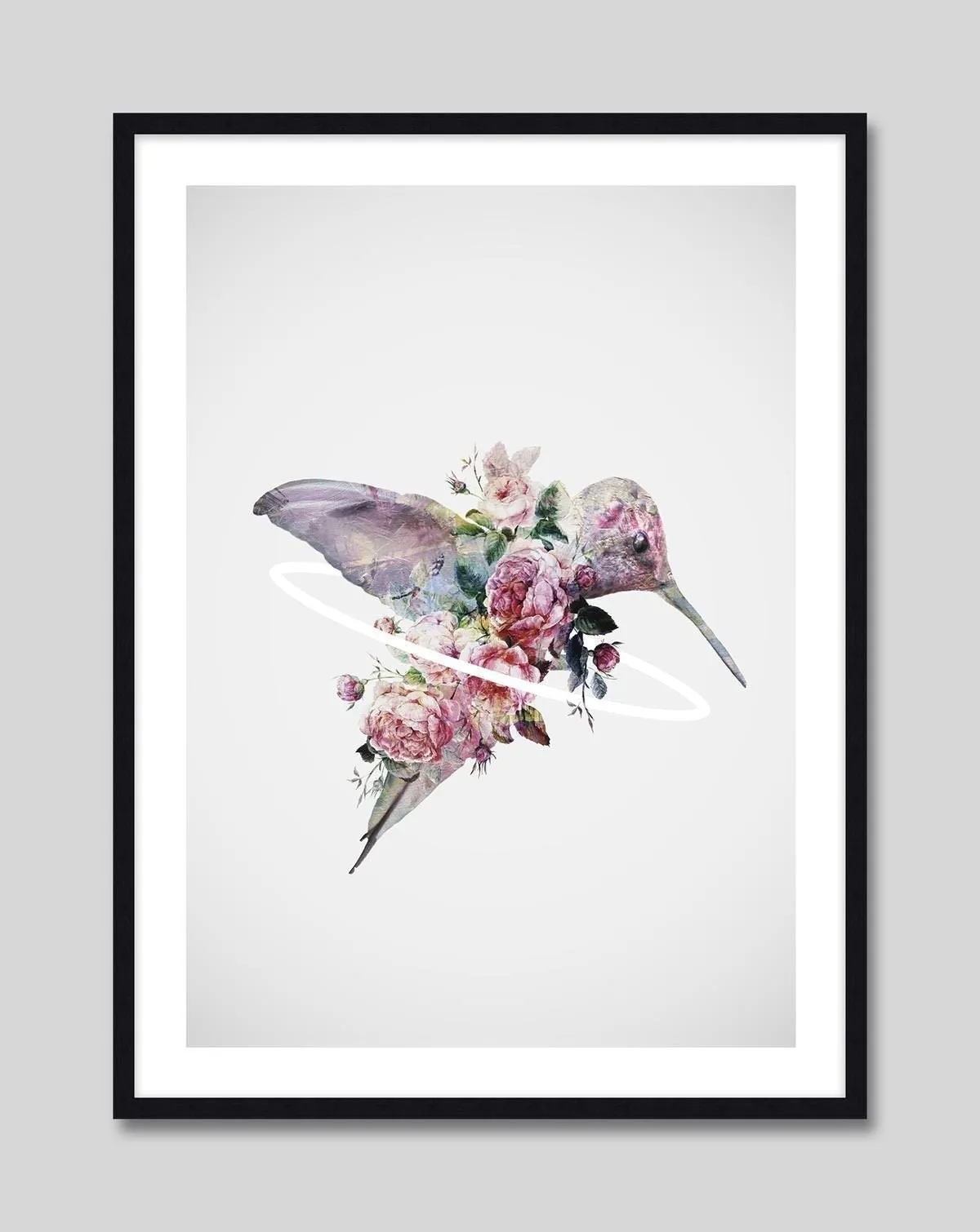 Kolibri