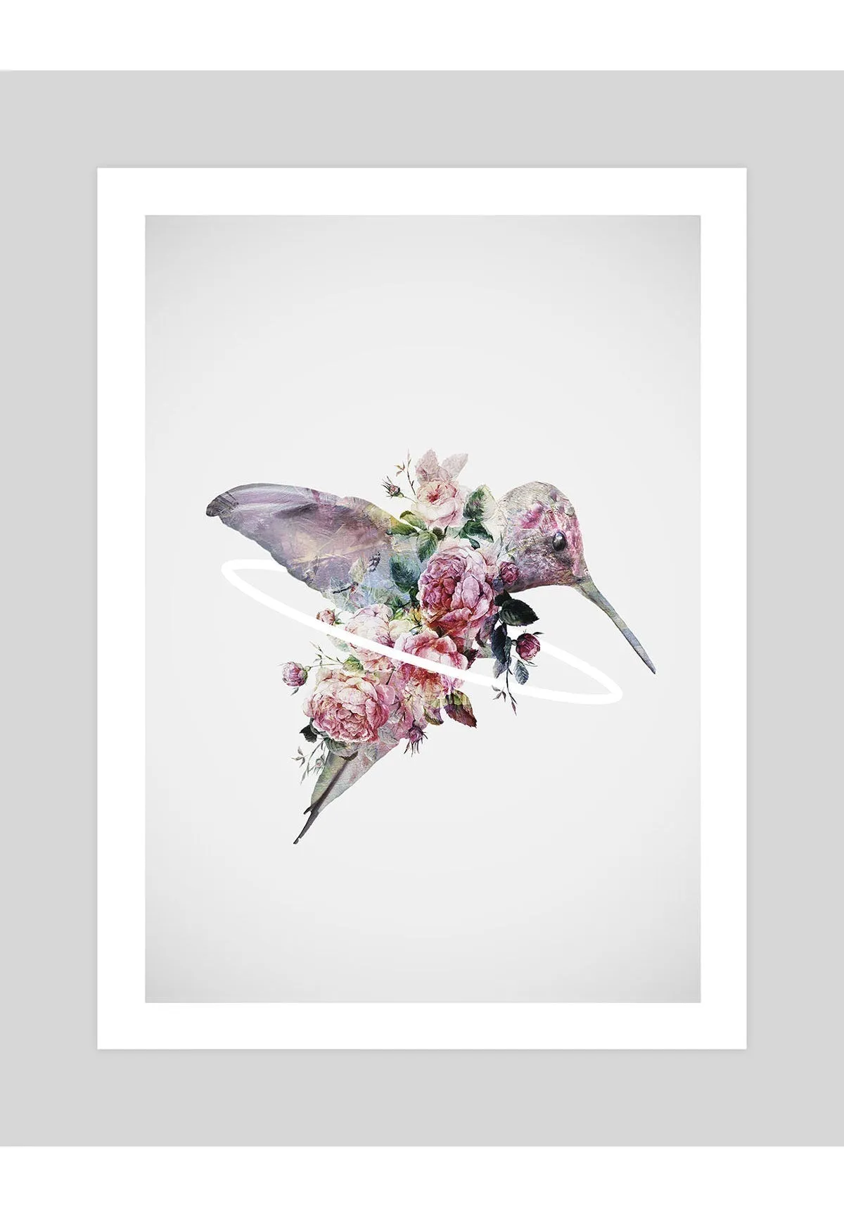 Kolibri