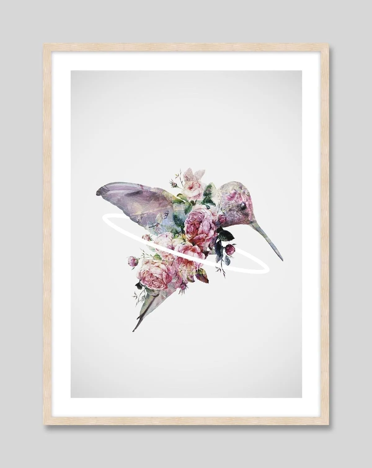 Kolibri