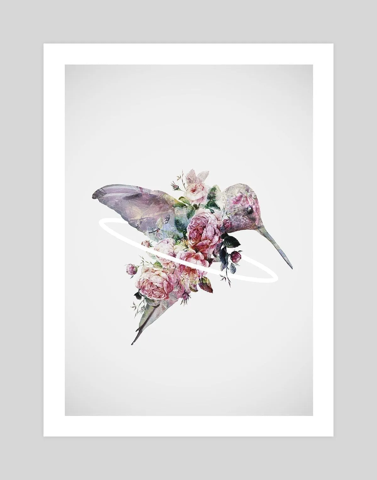 Kolibri