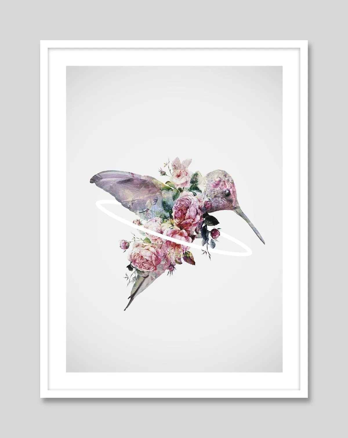 Kolibri