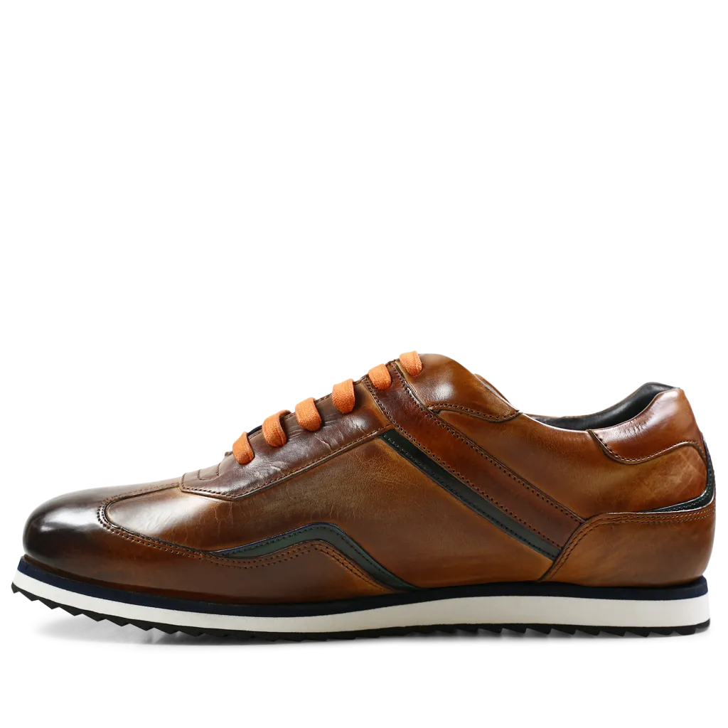 Niven 6