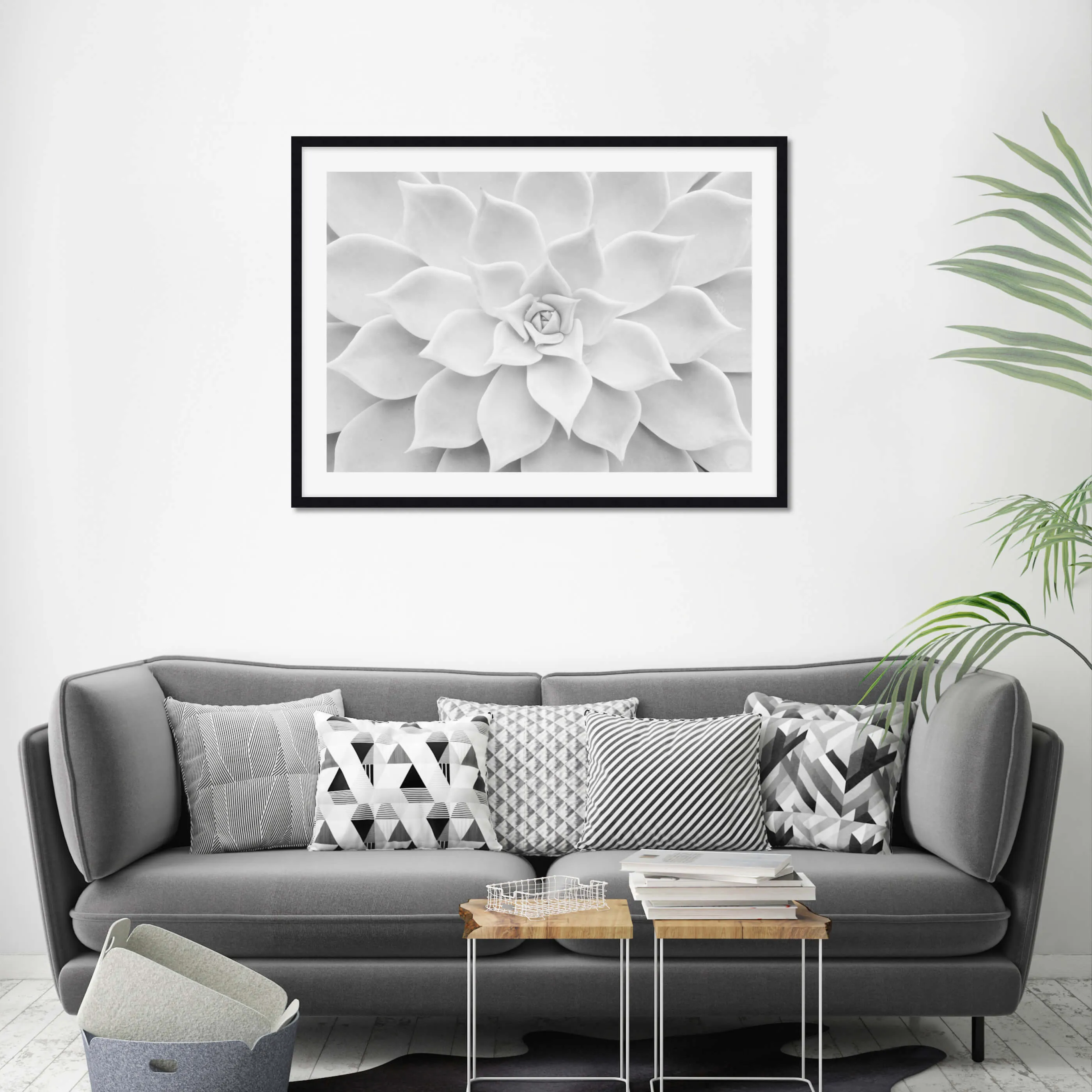 White Succulent