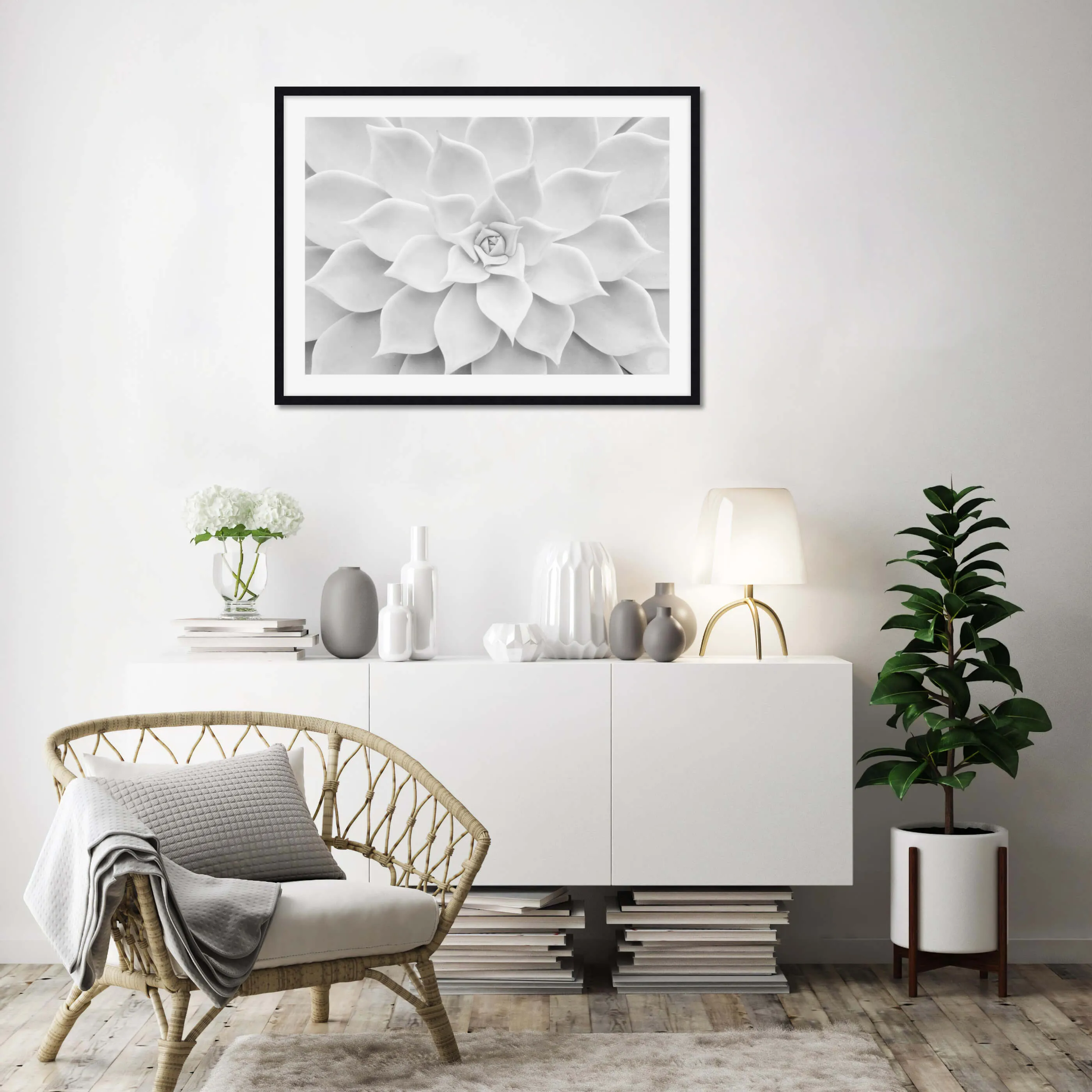 White Succulent