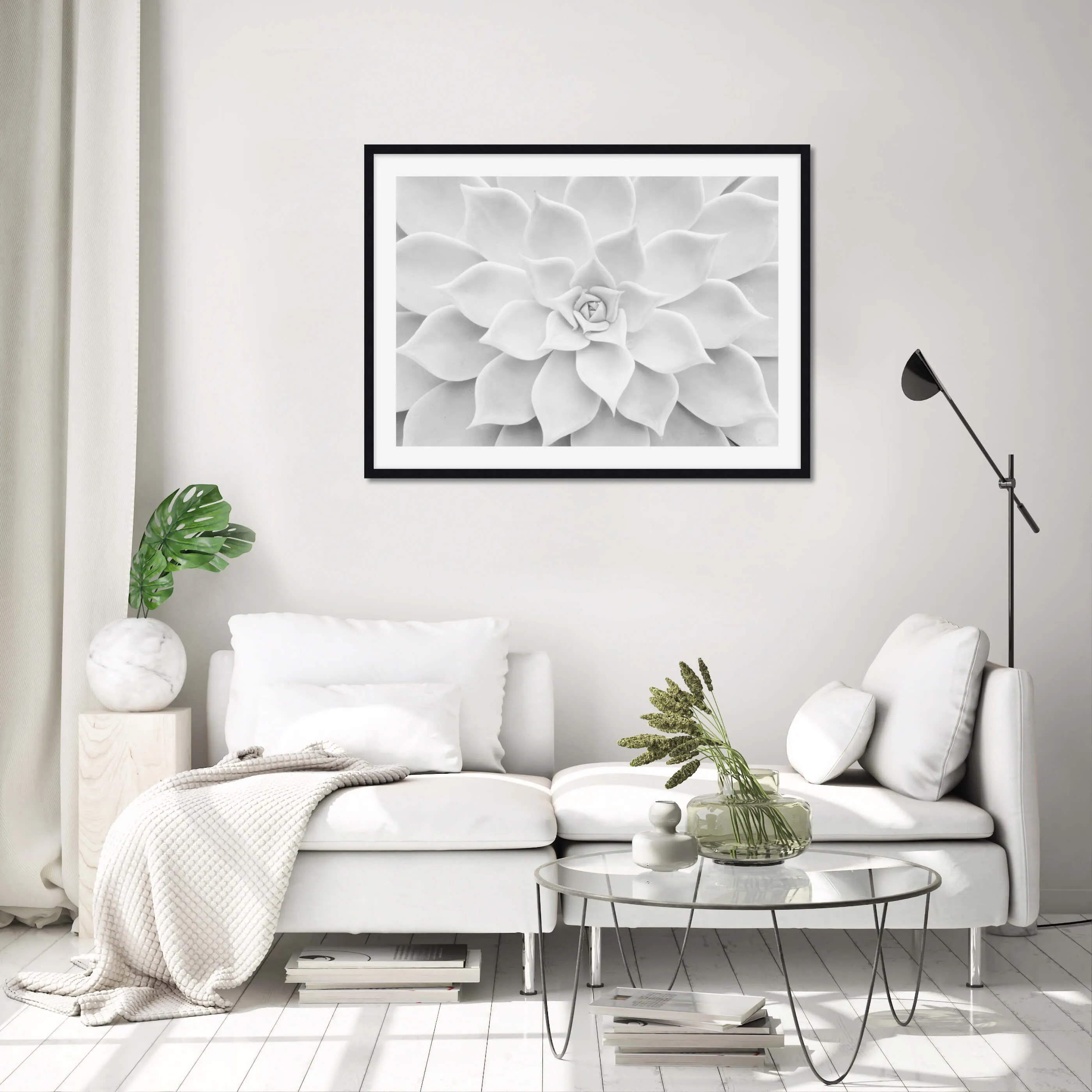 White Succulent