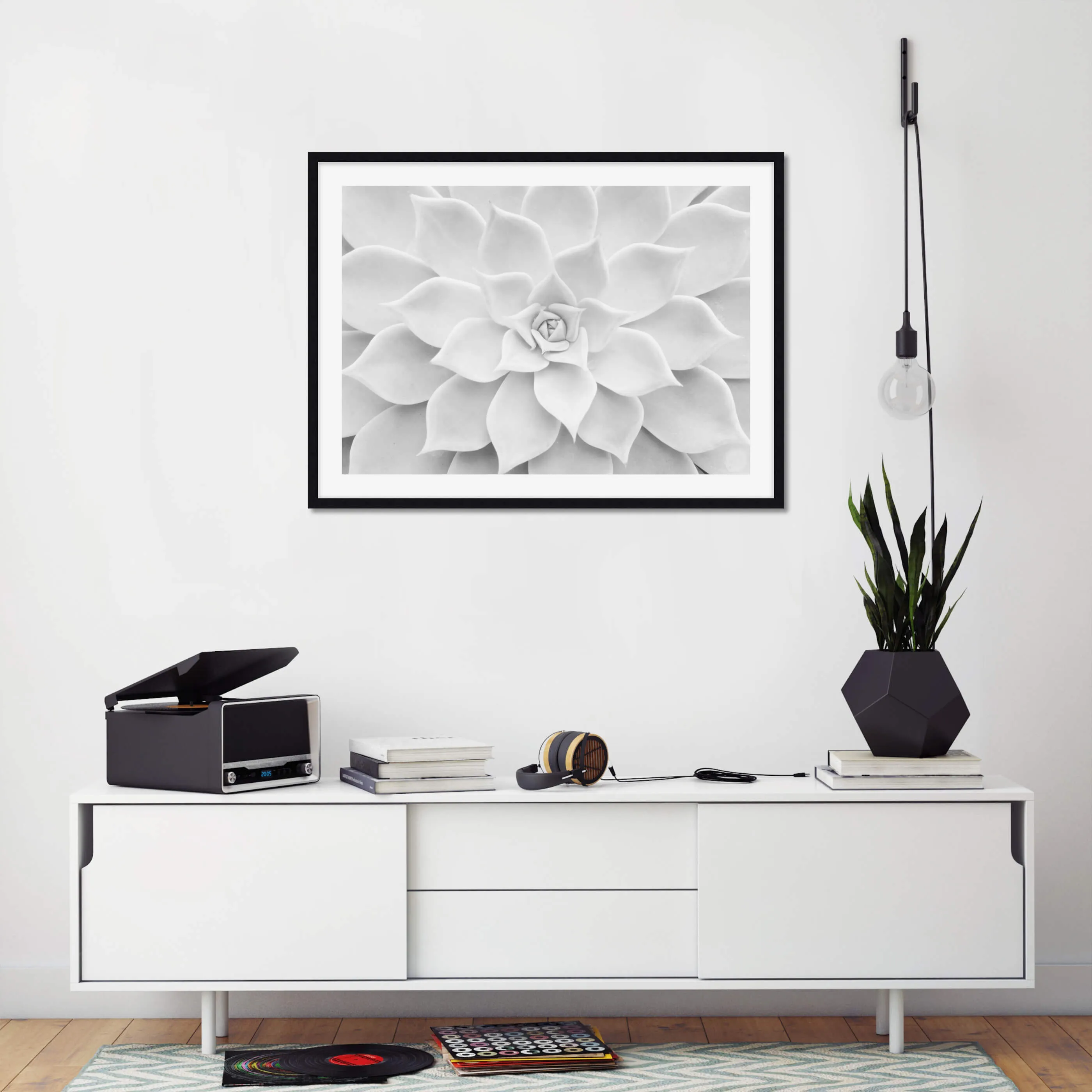 White Succulent
