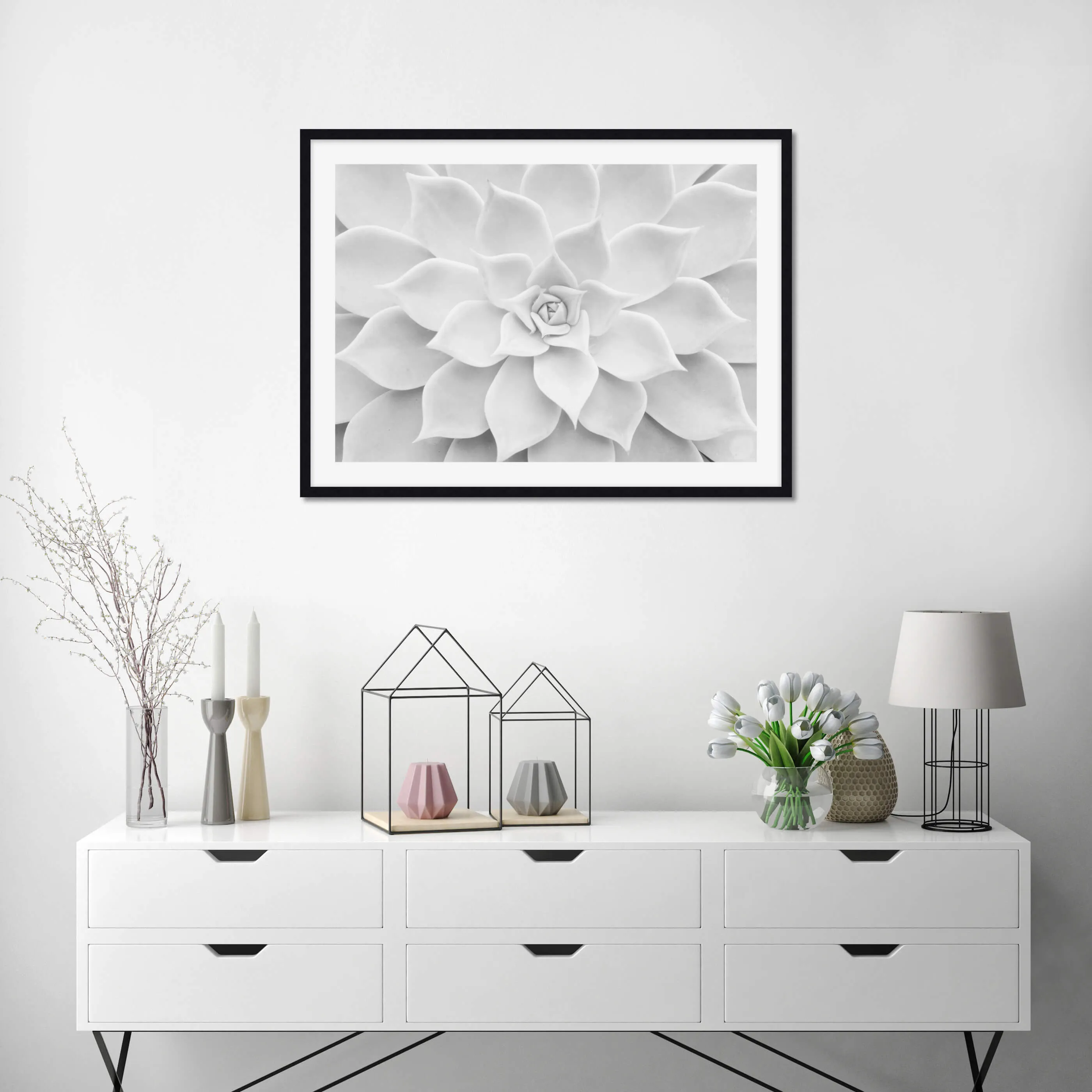 White Succulent